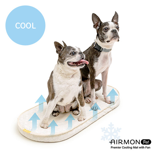 ファン付きクールマット　エアモン ペット