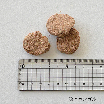 Moora Moora　トリーツキャット　クエール