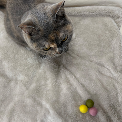 necono　コロコロボール