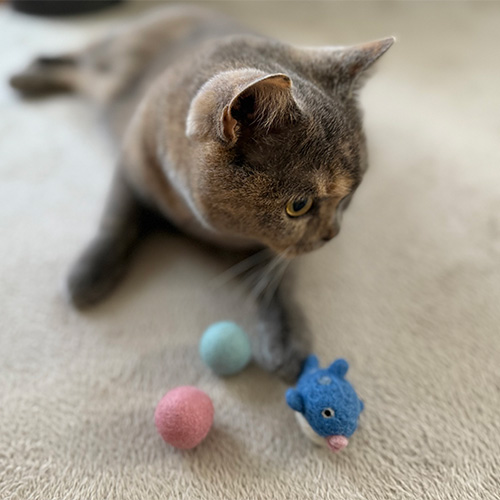 necono　いたずらフグとコロコロボール