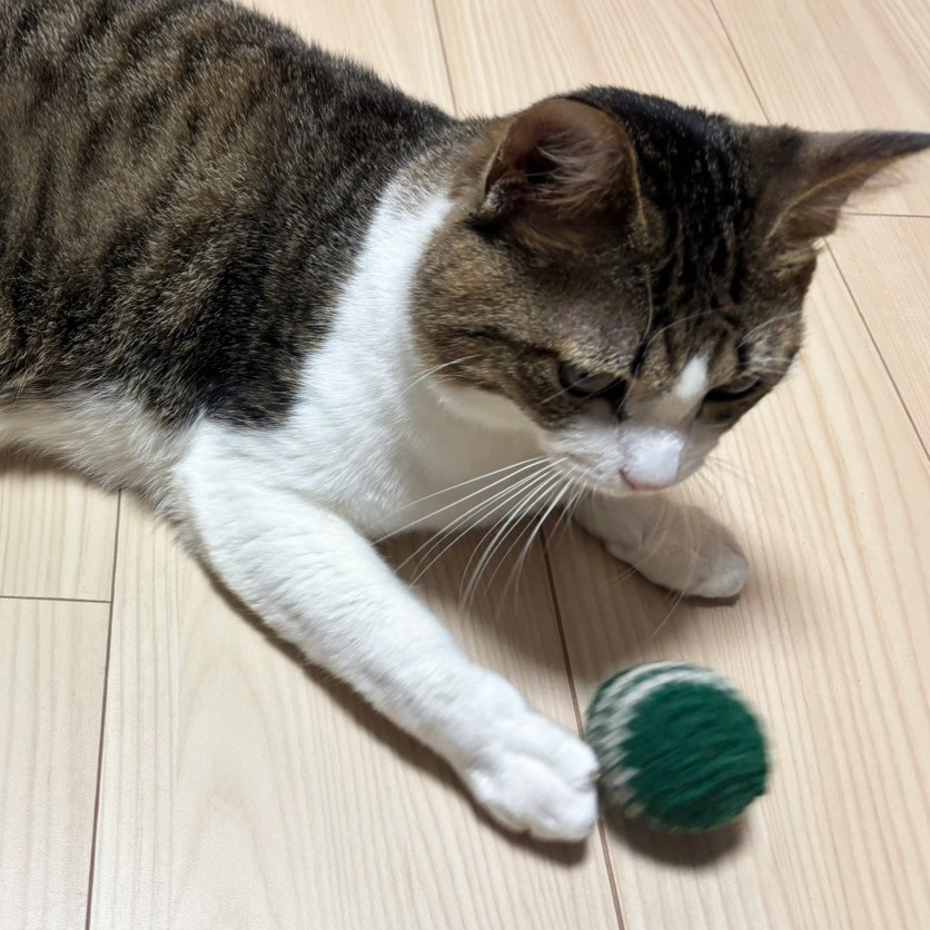 necono　Holly Chime/ホーリーチャイム【数量限定】