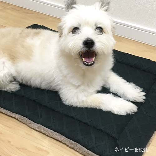 idog WARMぬくぬくホットマット 発熱保温ファー 【数量限定】