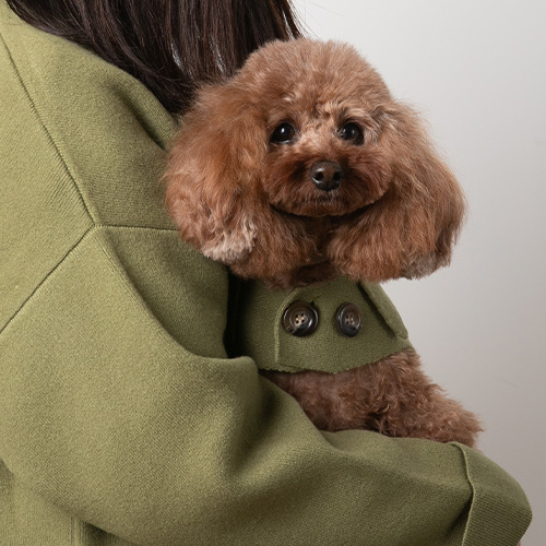 【with】メリノカシミヤ　コート【数量限定】