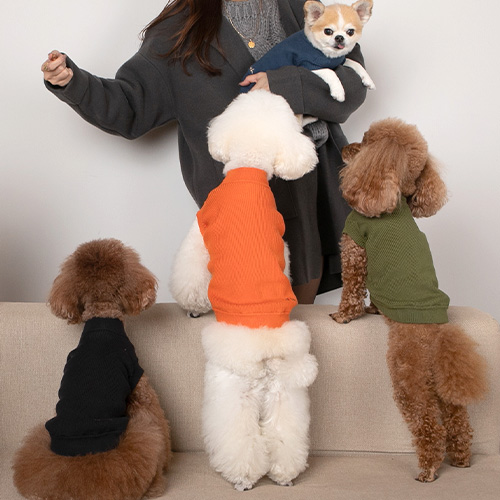 【with】コットンシルクカシミヤ　モックネック【数量限定】