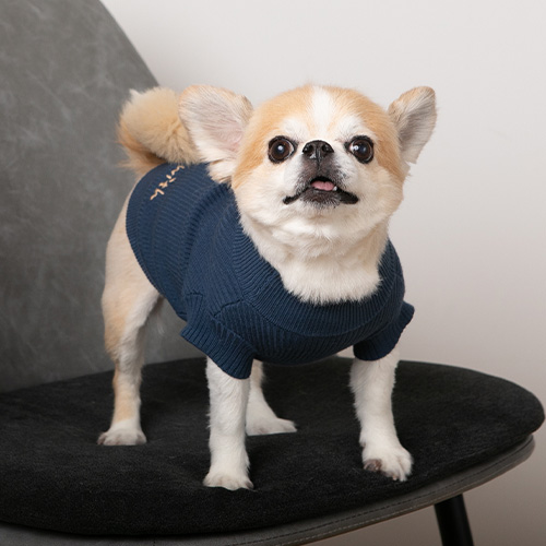 【with】コットンシルクカシミヤ モックネック【数量限定】