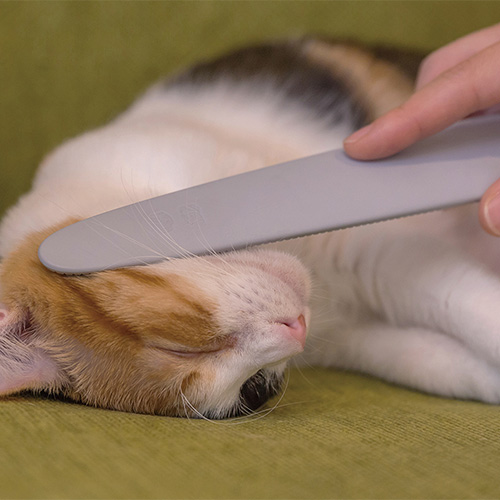ねこじゃすり CZGDNJS1-GR | ソノタゲンセン | GREEN DOG & CAT ねこじゃすり CZGDNJS1-GR | ソノタゲンセン | GREEN DOG & CAT