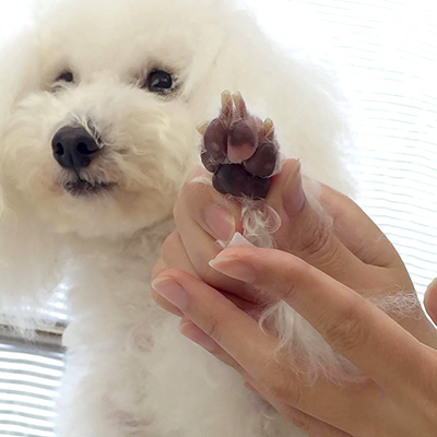 アリールアンドシー　肉球ケアジェルクリーム　小型犬・シニア犬用