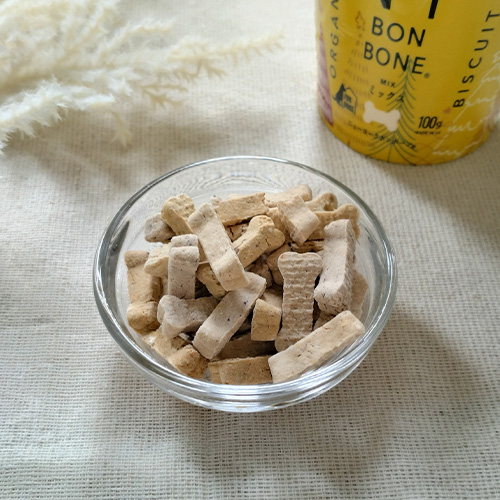 NY BON BONE ミックス クリスマスデザイン【数量限定】