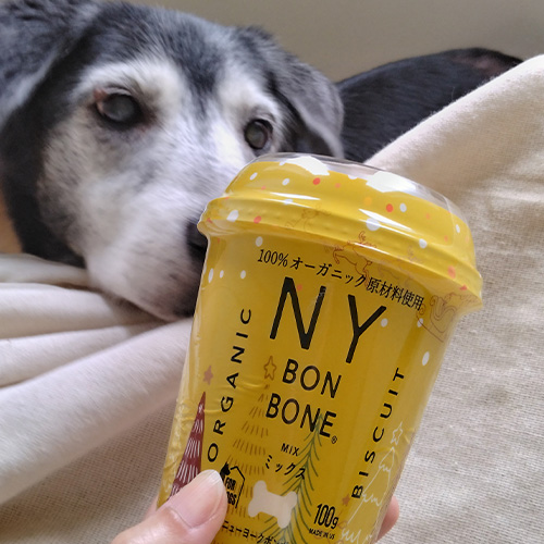 NY BON BONE ミックス クリスマスデザイン