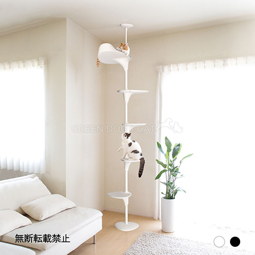 OPPO CatForest－2