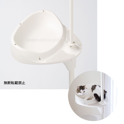 OPPO CatForest－2