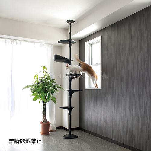 OPPO CatForest－2