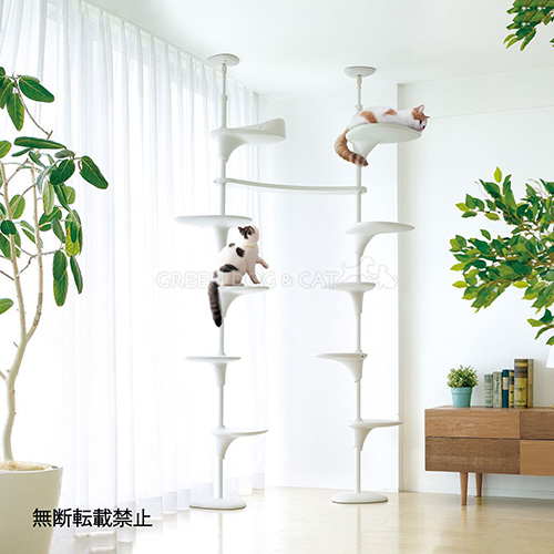 OPPO CatForest－2