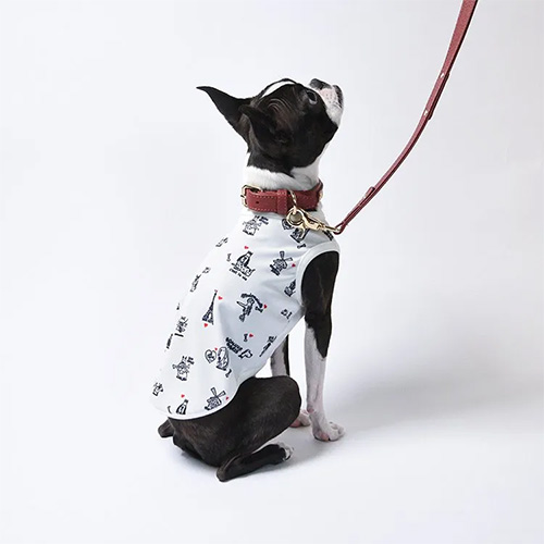 A DOG IN PARIS COOL TANK【数量限定】