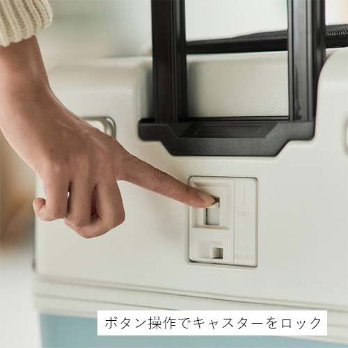 PETiCO(ペチコ)「iCO+」ペットキャリー