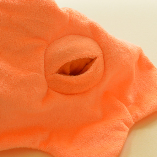 パペットトイ　ハロウィン【数量限定】