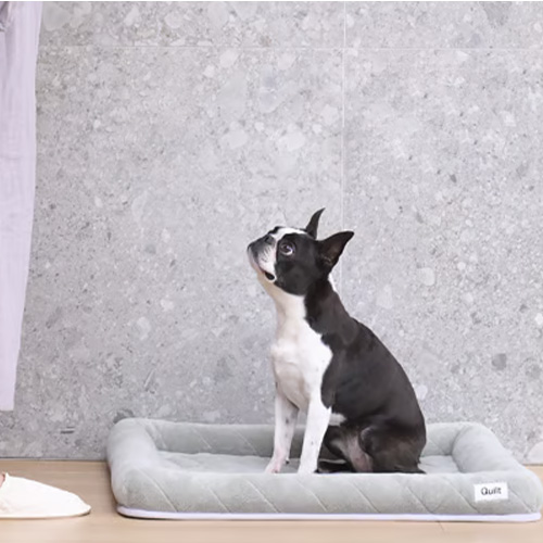 Quilt　まるごと洗えるベッド