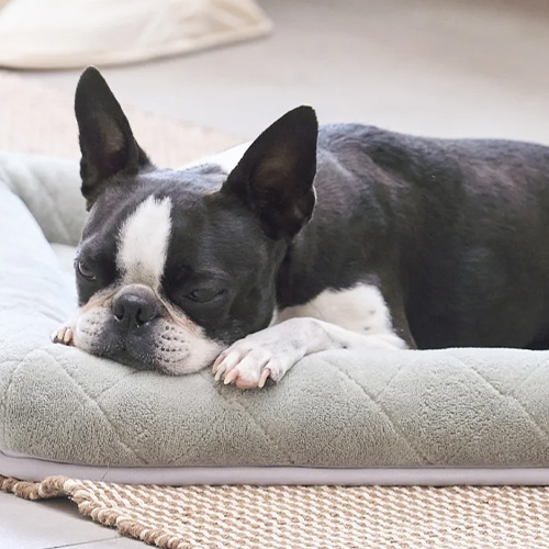 Quilt　まるごと洗えるベッド