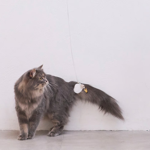 Quilt　付け替えできる猫じゃらしセット　リアルフェザー