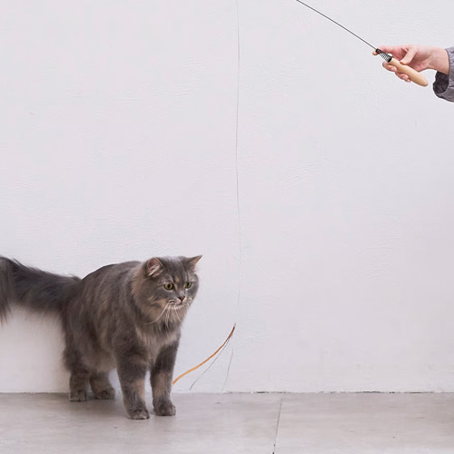 Quilt　付け替えできる猫じゃらしセット　キラキラ光るタイベックリボン