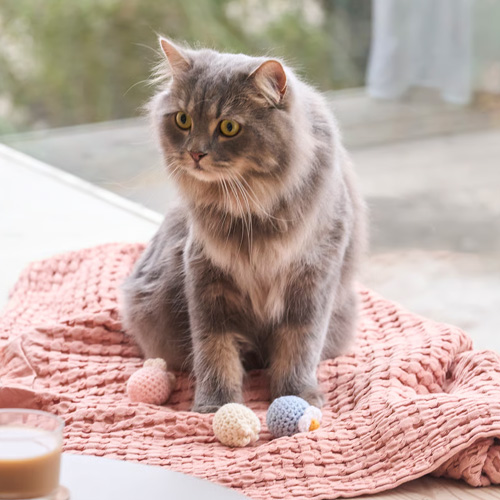 Quilt　お花の編みボール　またたび入り