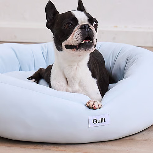 Quilt 接触冷感 洗えるもちもちベッド【数量限定】