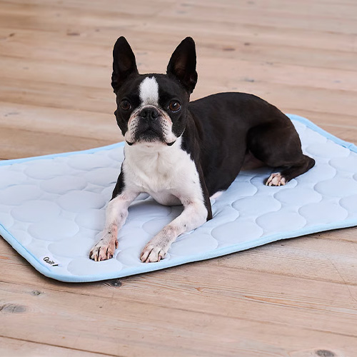 Quilt　接触冷感 マット【数量限定】