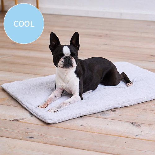 Quilt　ふかふか冷感マット