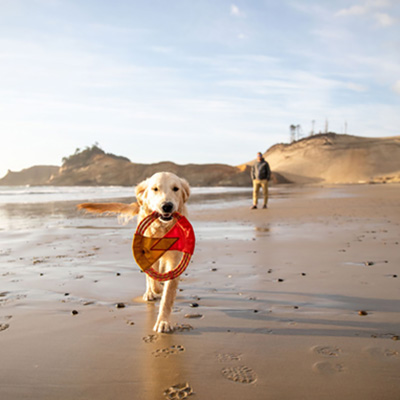 RUFFWEAR パシフィックリング　トイ【数量限定】