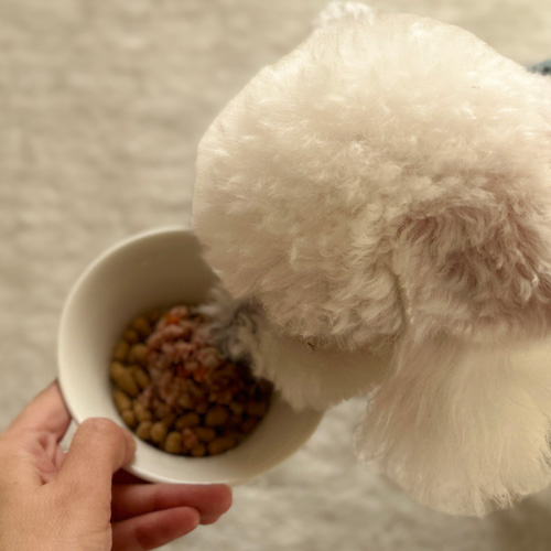 SILKFULL 犬用フード シカ