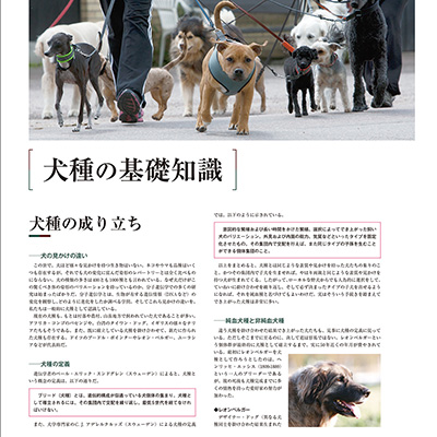 増補改訂 最新 世界の犬種大図鑑