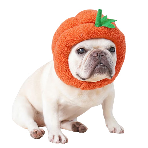 iDog パンプキンスヌード