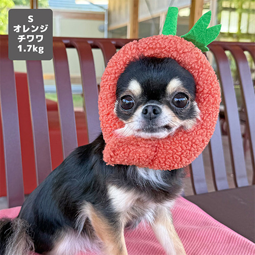 iDog パンプキンスヌード【数量限定】