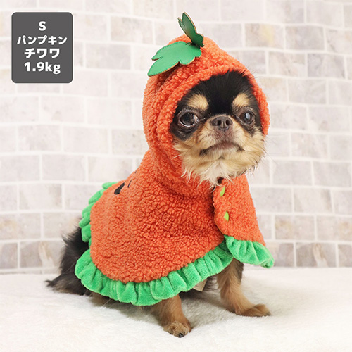 iDog ハロウィンケープ パンプキン【数量限定】