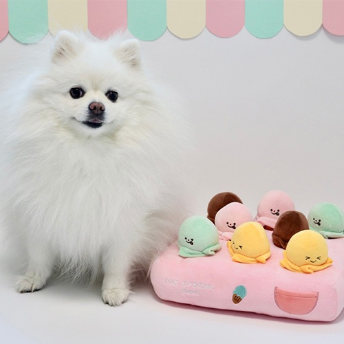 アイスクリームカート:ノーズワークトイ【数量限定】