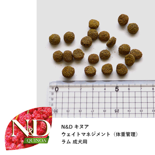 フードお試しセット「アダルト」【GREEN DOG & CAT限定】