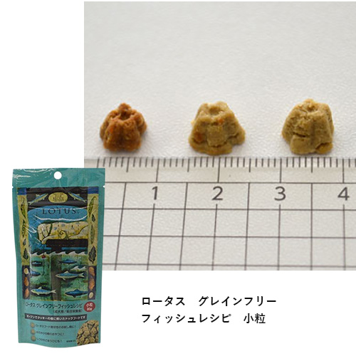 フードお試しセット「小粒」【GREEN DOG & CAT限定】