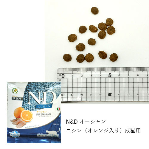 フードお試しセット「アダルトキャット」【GREEN DOG & CAT限定】