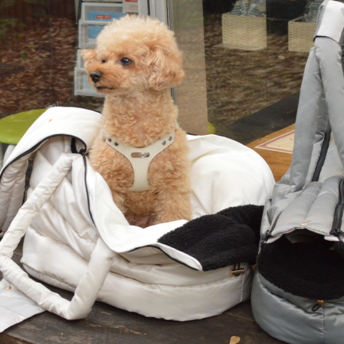 SARTO ダウンキャリーバッグ【数量限定】