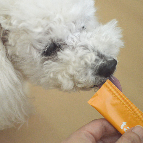 tam’s　おなかと皮膚のサプリメント　ヤギミルクオレンジ味