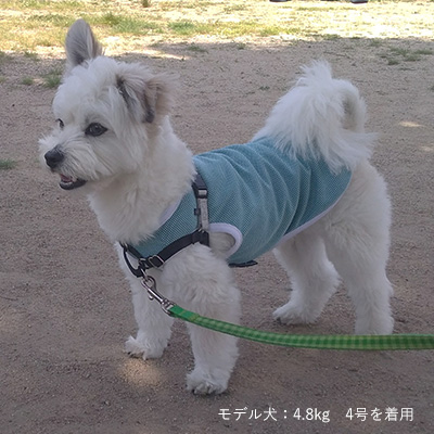 FULL COOL（フルクール）