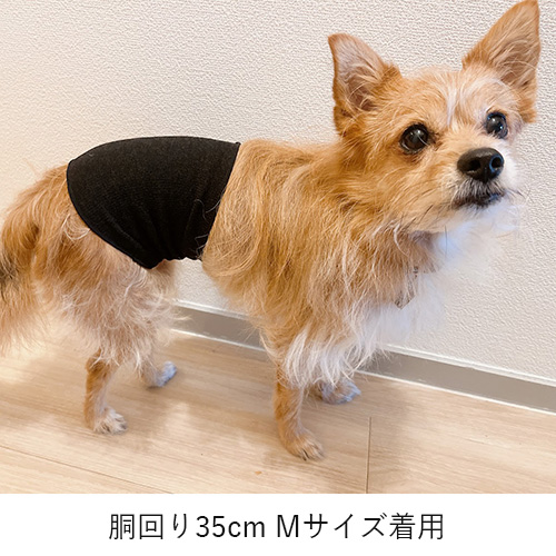 クークチュール　テラヘルツワン・シルク腹巻