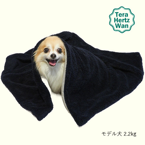 クークチュール　テラヘルツワン・ボアブランケット【数量限定】