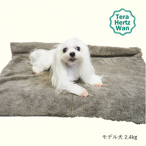 クークチュール　テラヘルツワン・ボアブランケット【数量限定】