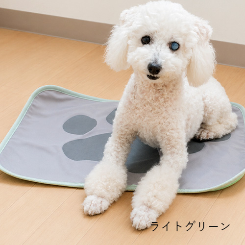 テラクール マット【数量限定】