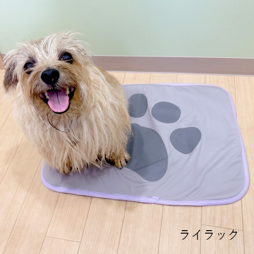 テラクール マット【数量限定】