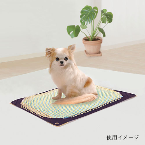 【子犬特集専用】ワンコトイレマットしつけメッシュ