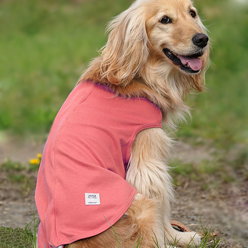 IDOG UNAGE（アンエイジ） 中大型犬用 ウェルネスウェア 背中開きタンク【数量限定】