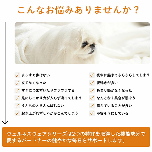 IDOG&ICAT UNAGE(アンエイジ) ウェルネスウェア 背中開きT IDOG&ICAT UNAGE(アンエイジ) ウェルネスウェア 背中開きT