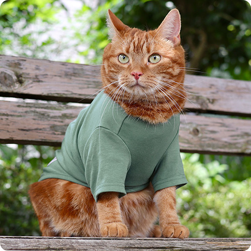 IDOG＆ICAT UNAGE（アンエイジ） ウェルネスウェア 背中開きTシャツ【数量限定】